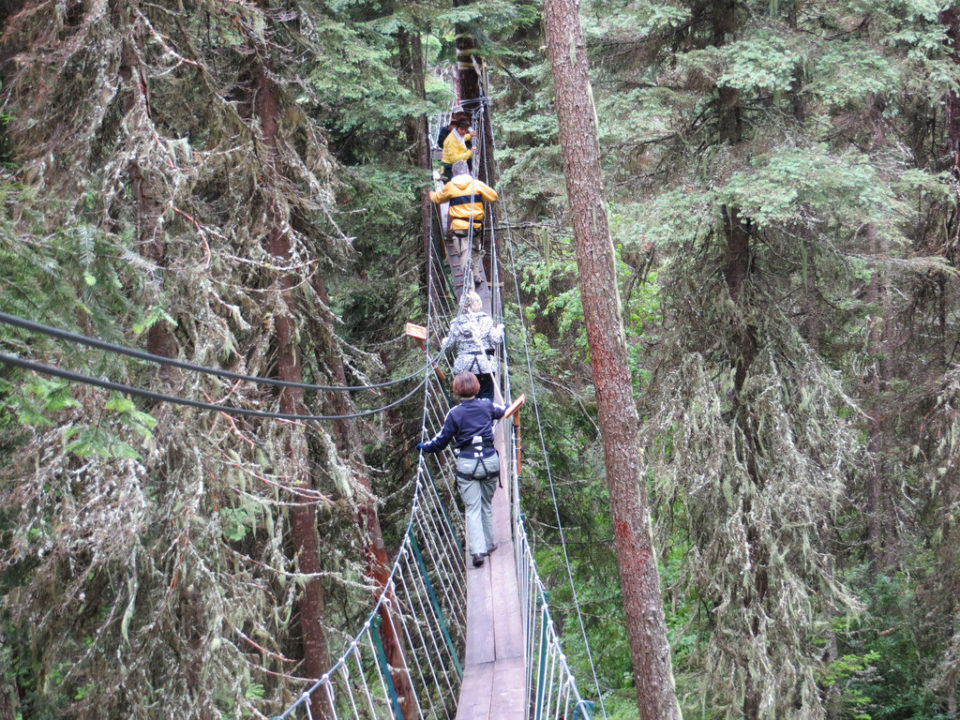 11303262166_ac3ecda134_b